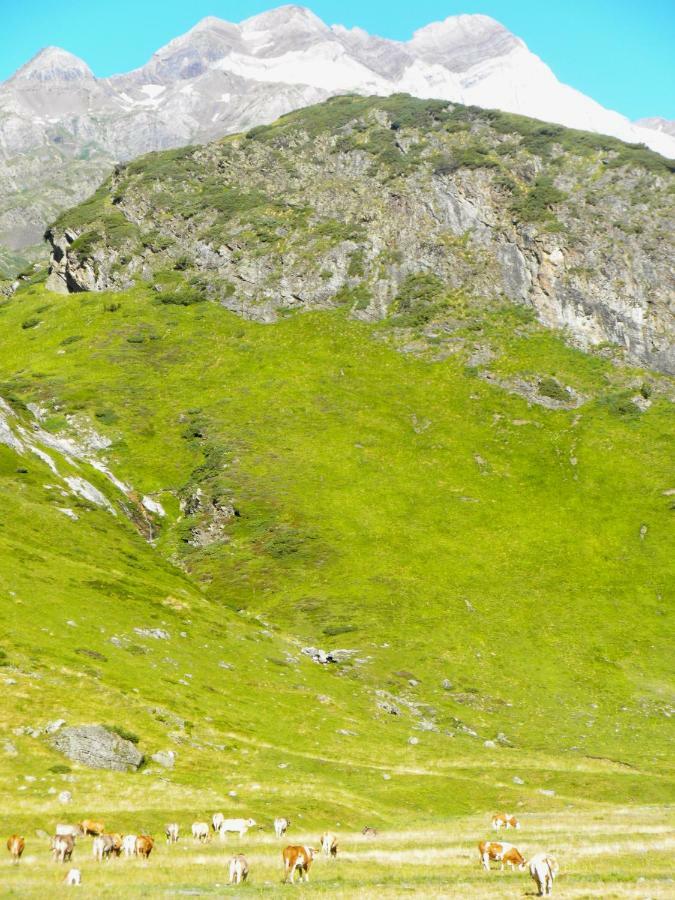 Le Grenier De Luz Apartman Luz-Saint-Sauveur Kültér fotó